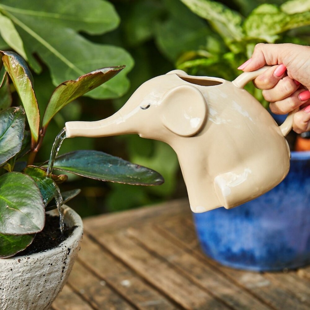 ❤️ Ceramic Elephant Watering Can